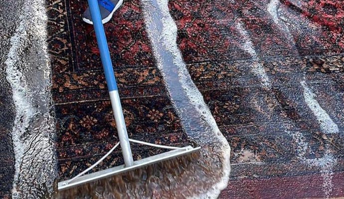 professional rug cleaning with equipment
