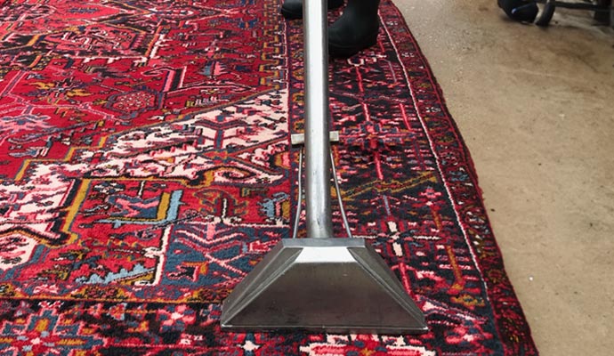rug cleaning professionally