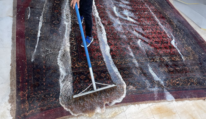 Rug Cleaning Solutions & Cleansers in Greater Houston
