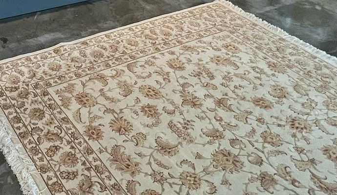Cleaned rug on the floor