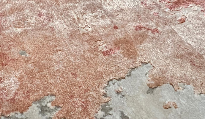 rug damaged by water