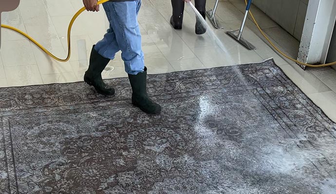 A professional cleaning a rug