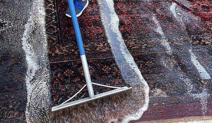 Rug deep cleaning