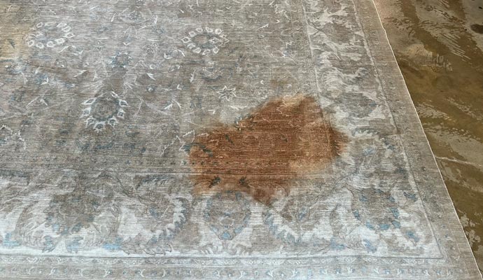 Visible stain on rug