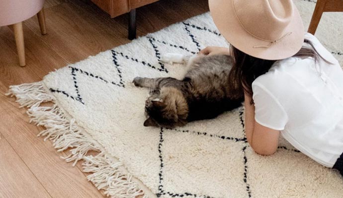 pet and kid on rug