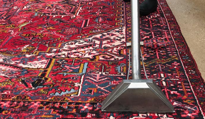 rug cleaning professionally