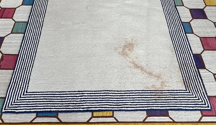 Stained rug